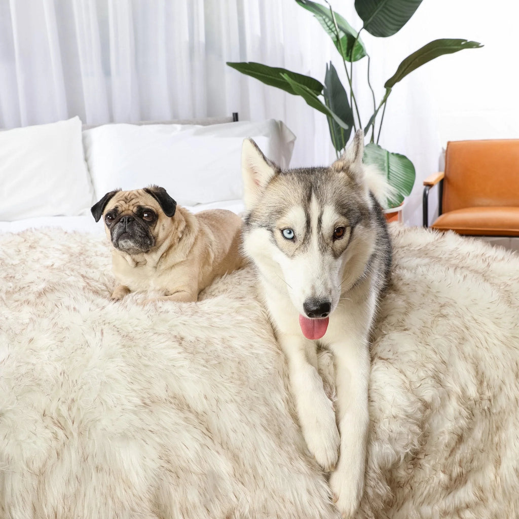 Waterproof Throw Blanket - White with Brown Accents