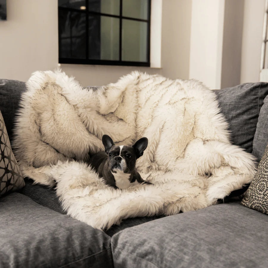 Waterproof Throw Blanket - White with Brown Accents