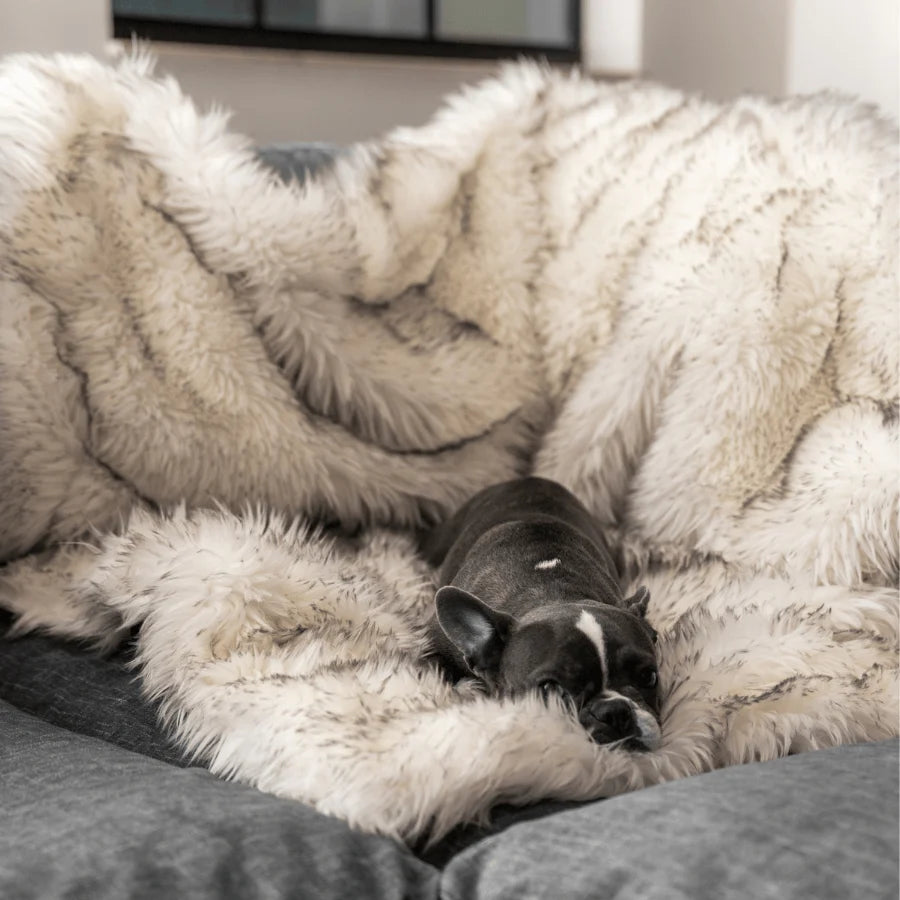 Waterproof Throw Blanket - White with Brown Accents
