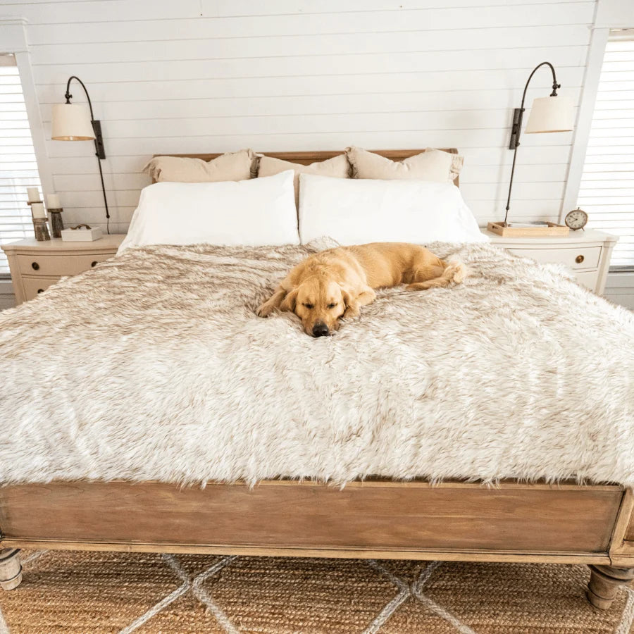 Waterproof Throw Blanket - White with Brown Accents