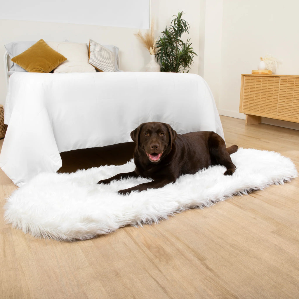 Runner Faux Fur Memory Foam Dog Bed - Curve Polar White