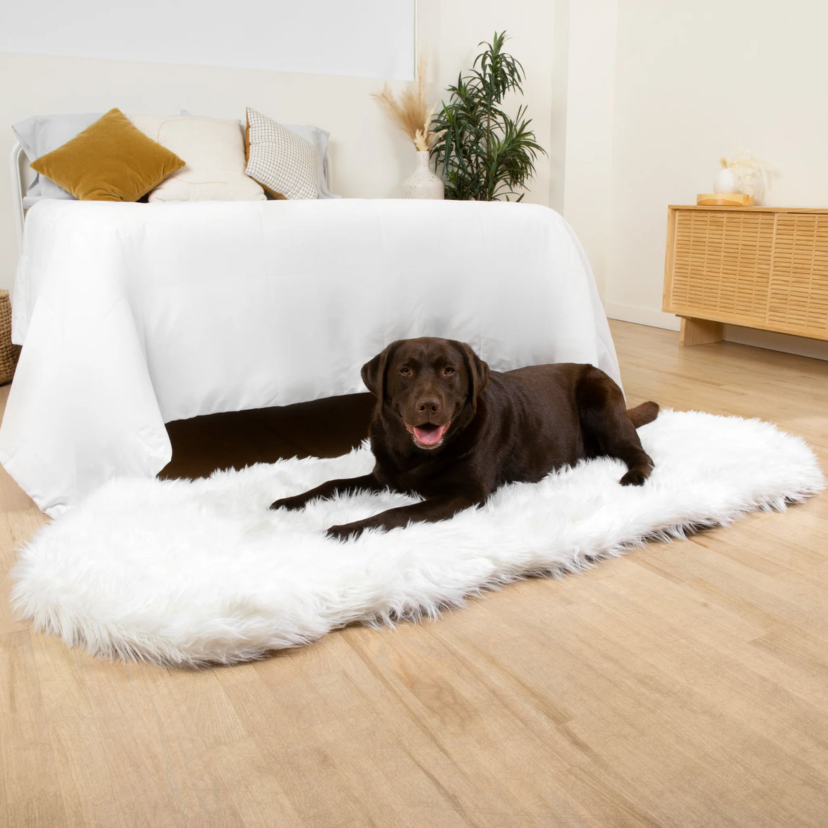 Runner Faux Fur Memory Foam Dog Bed - Curve Polar White