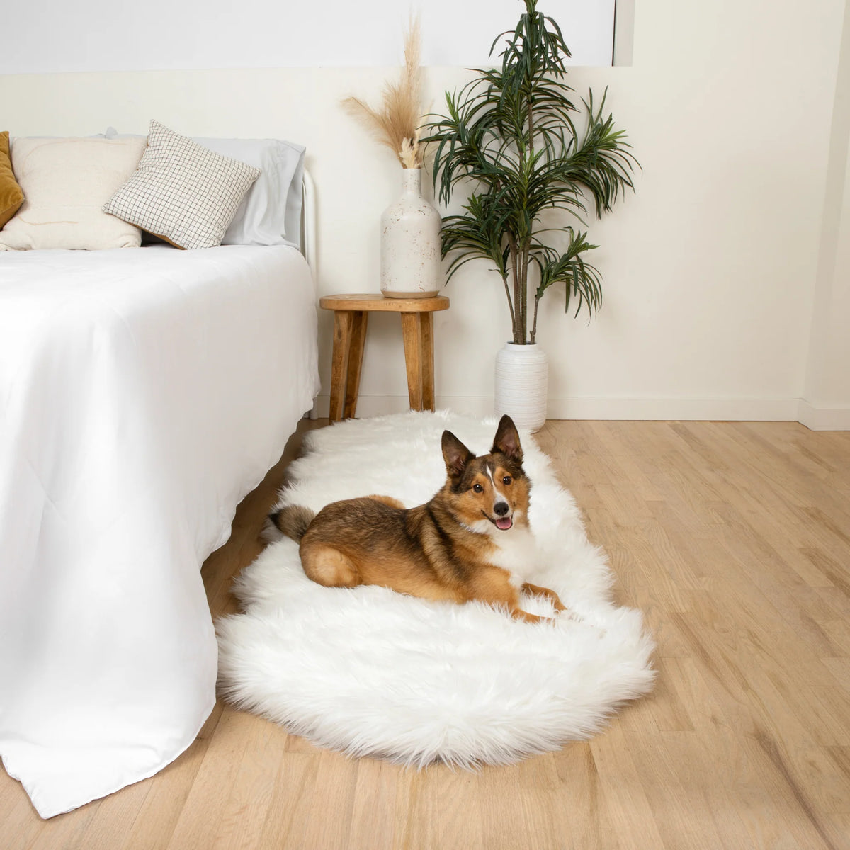 Runner Faux Fur Memory Foam Dog Bed - Curve Polar White