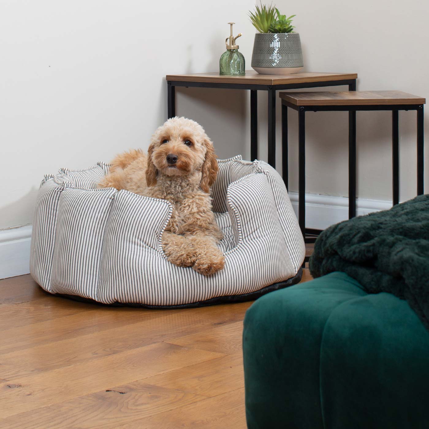 Regency Stripe | Large Dog Bed with Removable Covers & Soft Sides | Cozy Resting Space for Ultimate Comfort 2