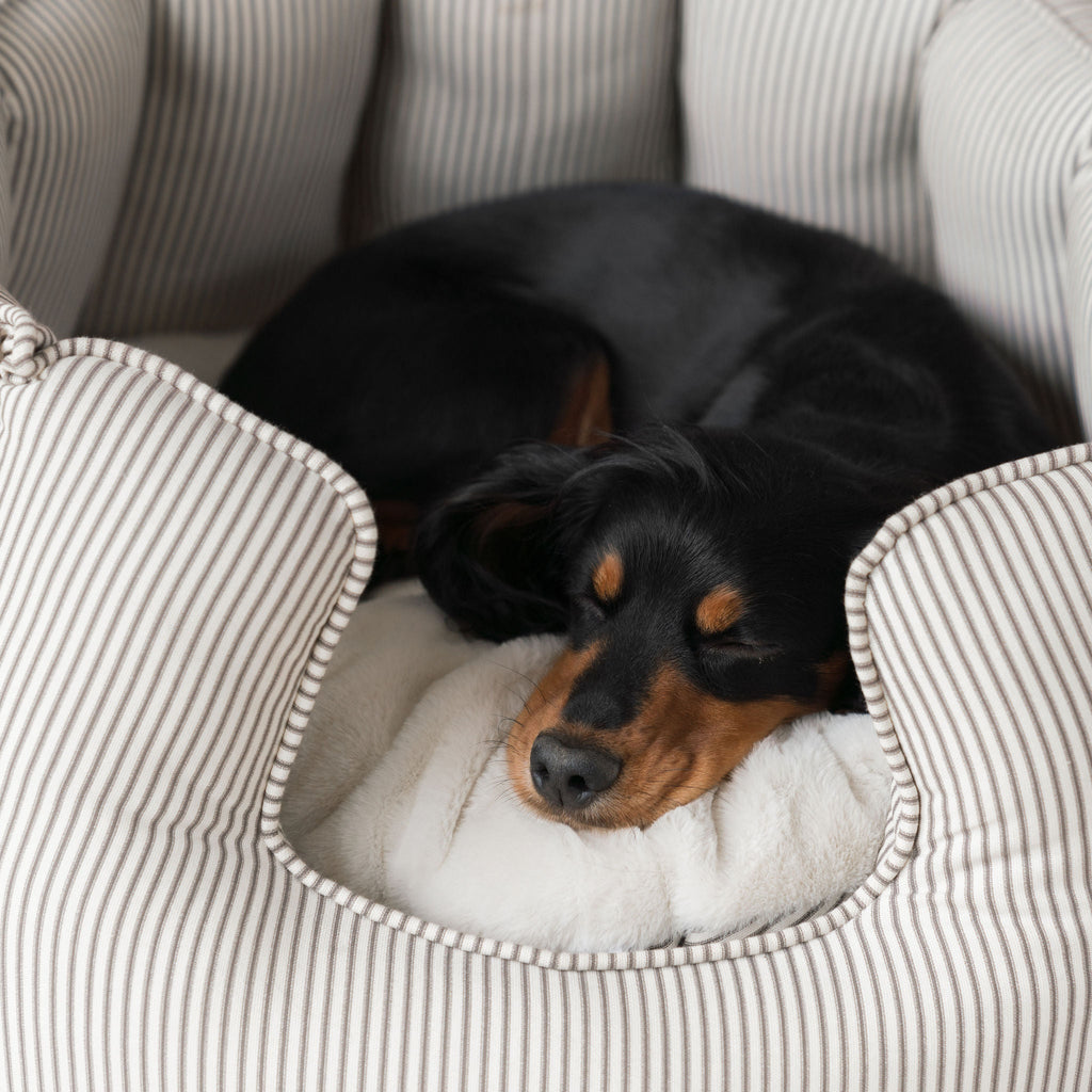 Regency Stripe | Large Dog Bed with Removable Covers & Soft Sides | Cozy Resting Space for Ultimate Comfort 3