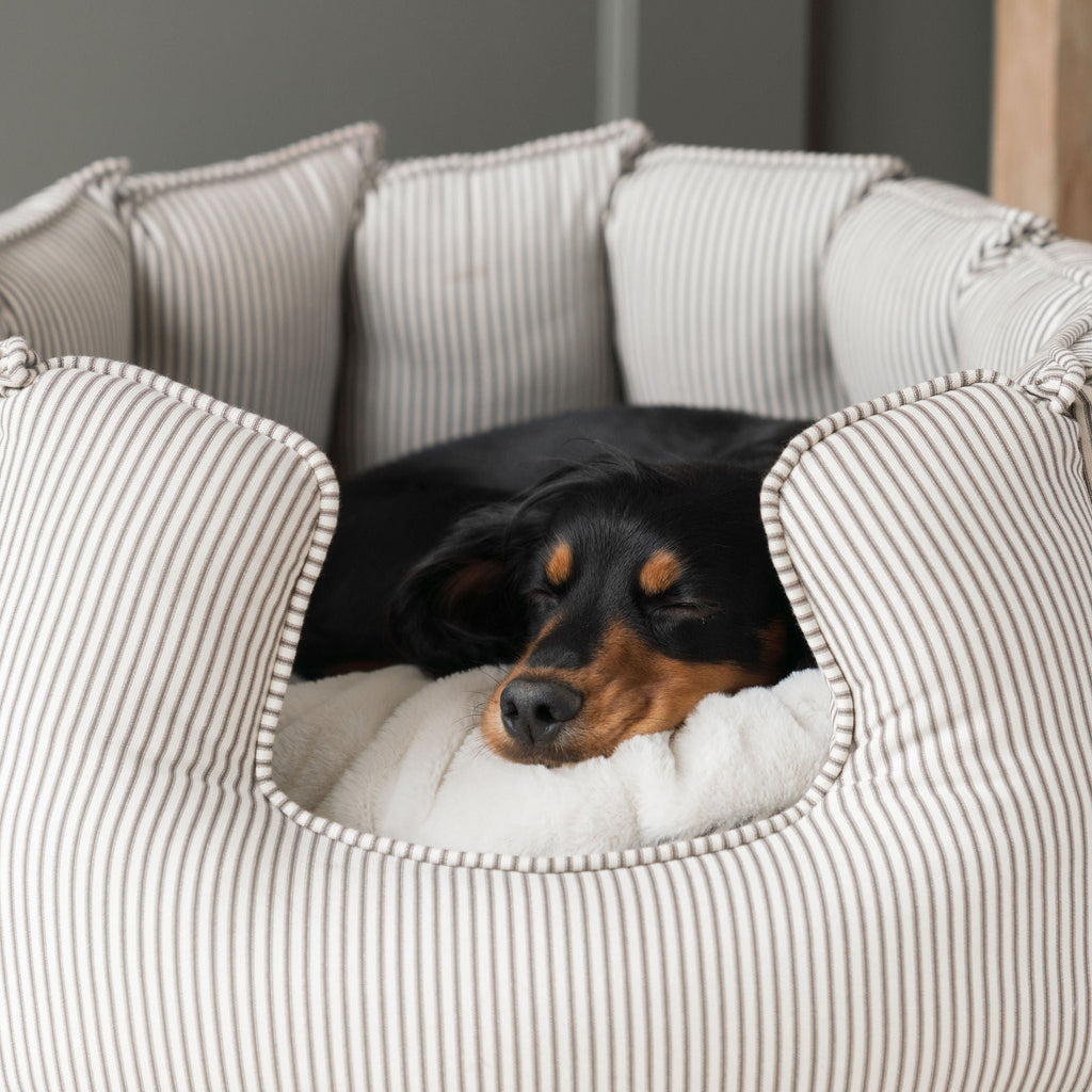 Regency Stripe | Large Dog Bed with Removable Covers & Soft Sides | Cozy Resting Space for Ultimate Comfort 4
