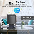 Quiet Air Dehumidifier