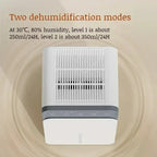 Smart Deodorizing Dehumidifier