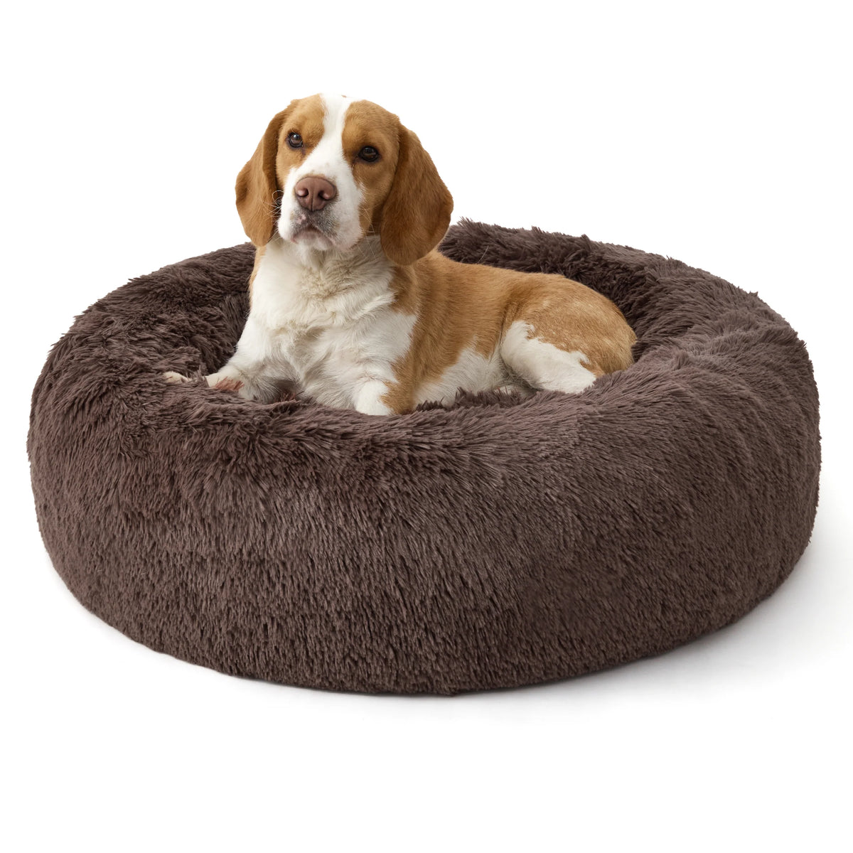 Donut Dog Bed – Soft Plush Round Pet Bed with Raised Rim, Dark Gray