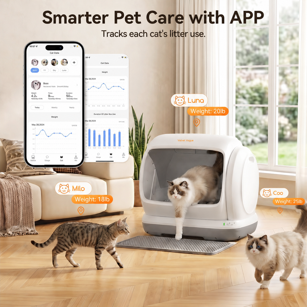 Self Cleaning Cat Litter Box