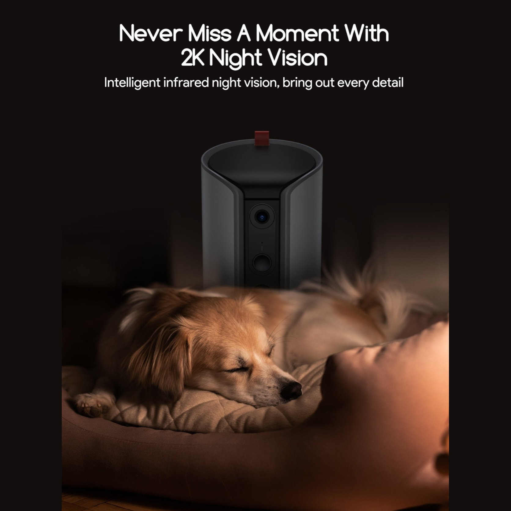 Dog Treat Dispenser with 2K Camera
