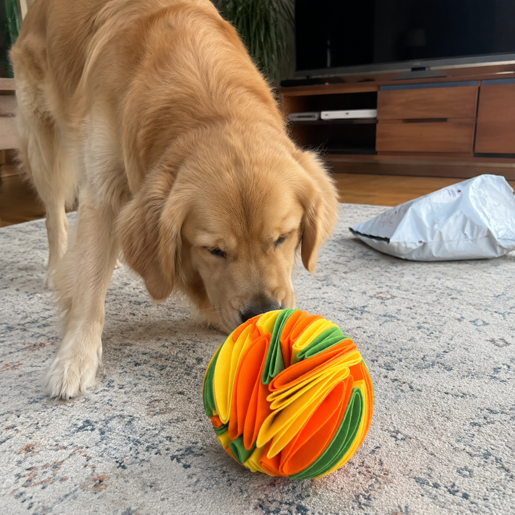 dog Snuffle Ball