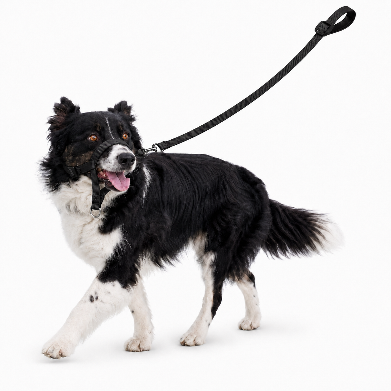 No Pull Dog Head Halter & Leash – Adjustable Reflective Training Lead