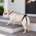 Adjustable Dog Rear Lift Support Harness - Hind Leg Assistance for Stairs, Car Entry & Daily Walks