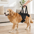 Full-Body Dog Lift Support Harness for Stairs, Cars & Limited Mobility