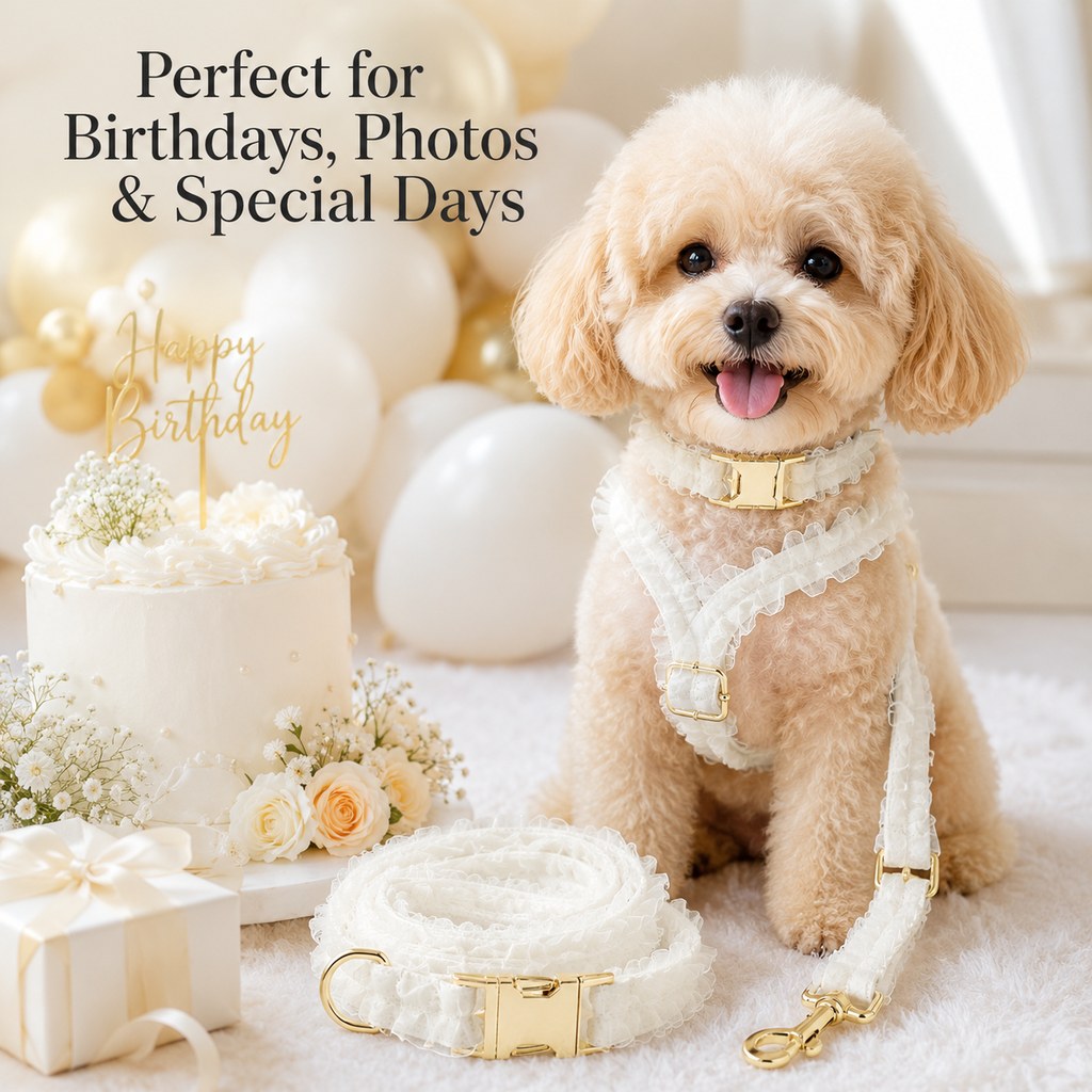 Boutique Lace Dog Harness, Collar & Leash Set for Birthday Photos & Daily Walks - 3-Piece Ruffle Walking Set