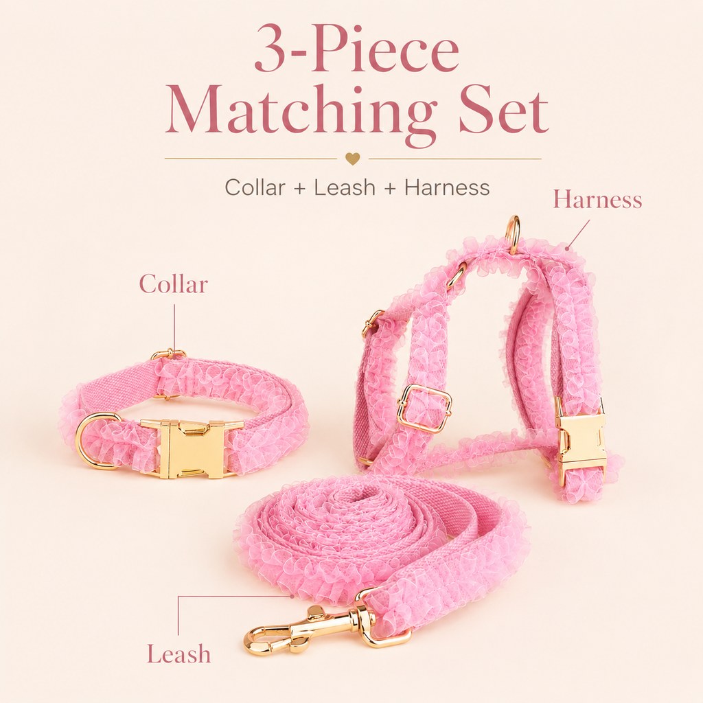 Boutique Lace Dog Harness, Collar & Leash Set for Birthday Photos & Daily Walks - 3-Piece Ruffle Walking Set