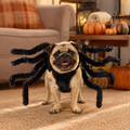 Halloween Pet Kostuum Black Spider