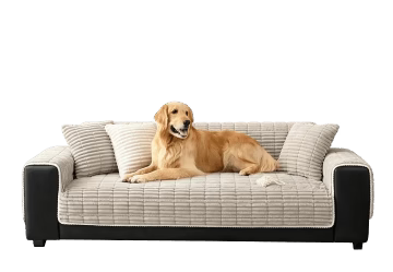 Couch Covers