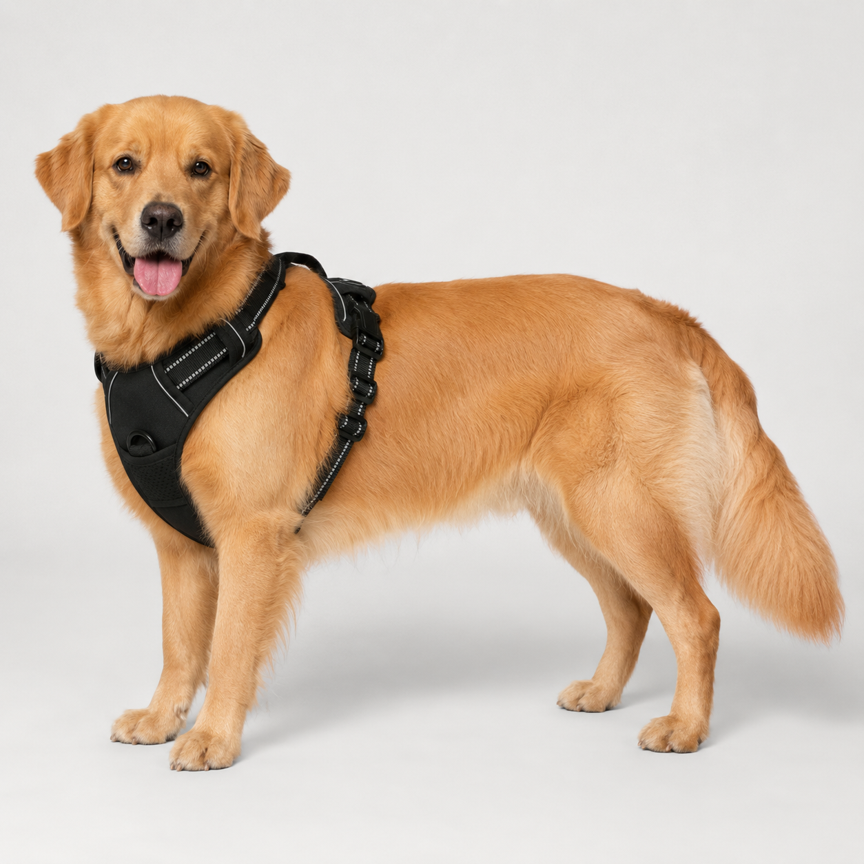 No Pull Dog Harness with Handle – Adjustable Padded Comfort Vest for Small, Medium & Large Dogs