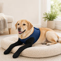 Dual Front Leg Recovery Sleeves for Dogs - Cone-Free Anti-Lick Protection for Post-Surgery, Scratching & Sensitive Front Legs