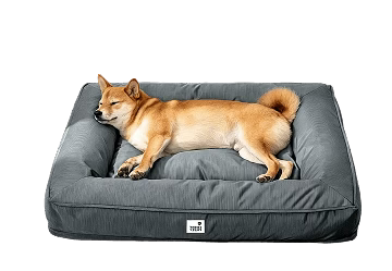 Dog Beds