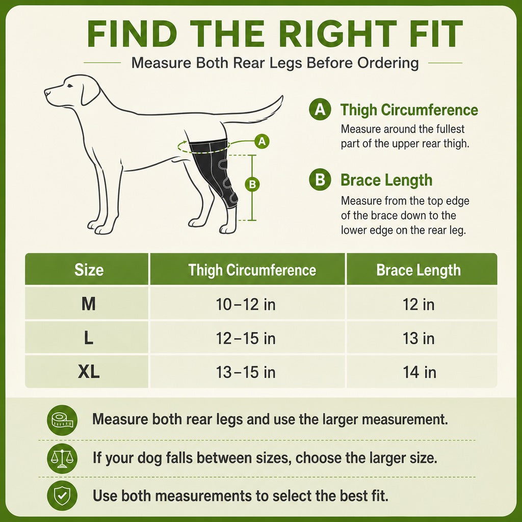 Dual Rear Leg Dog Support Brace with Harness - Walking Stability for Weak Hind Legs