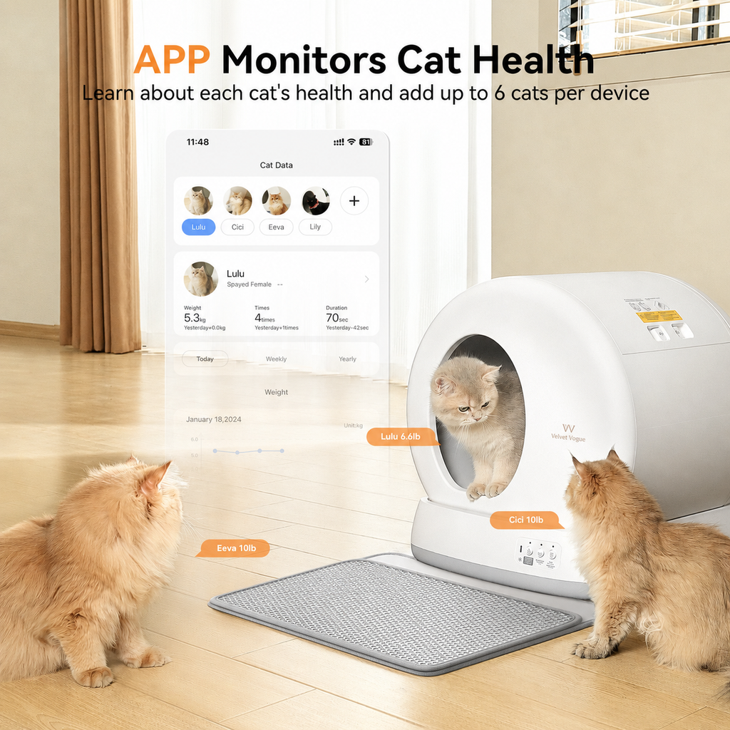 Self-Cleaning Cat Litter Box