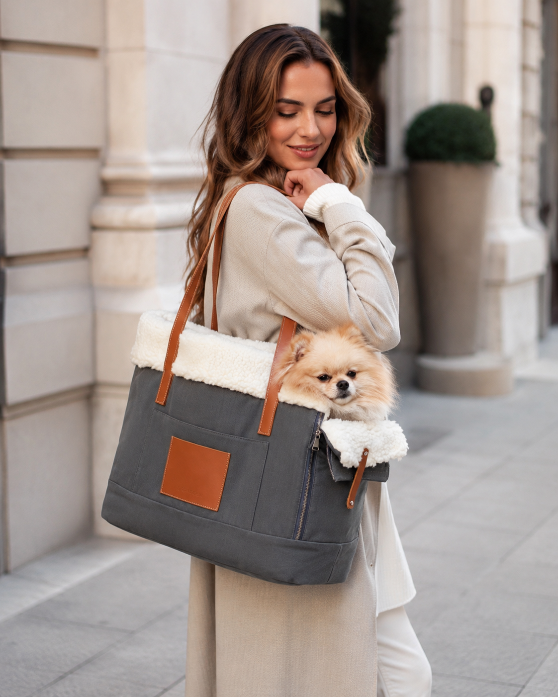 Stylish Dog & Cats Carrier Bag with Removable Lining