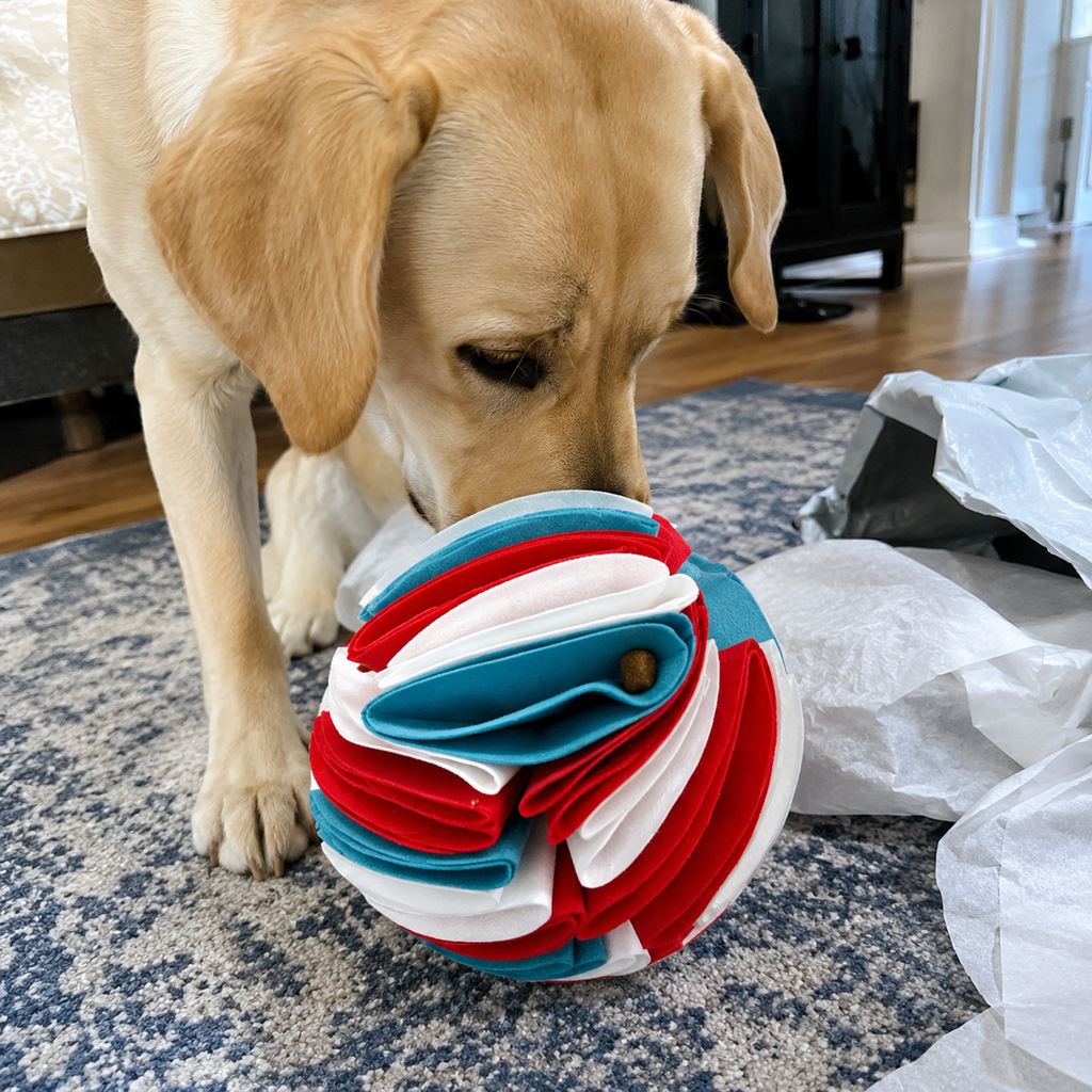 dog Snuffle Ball