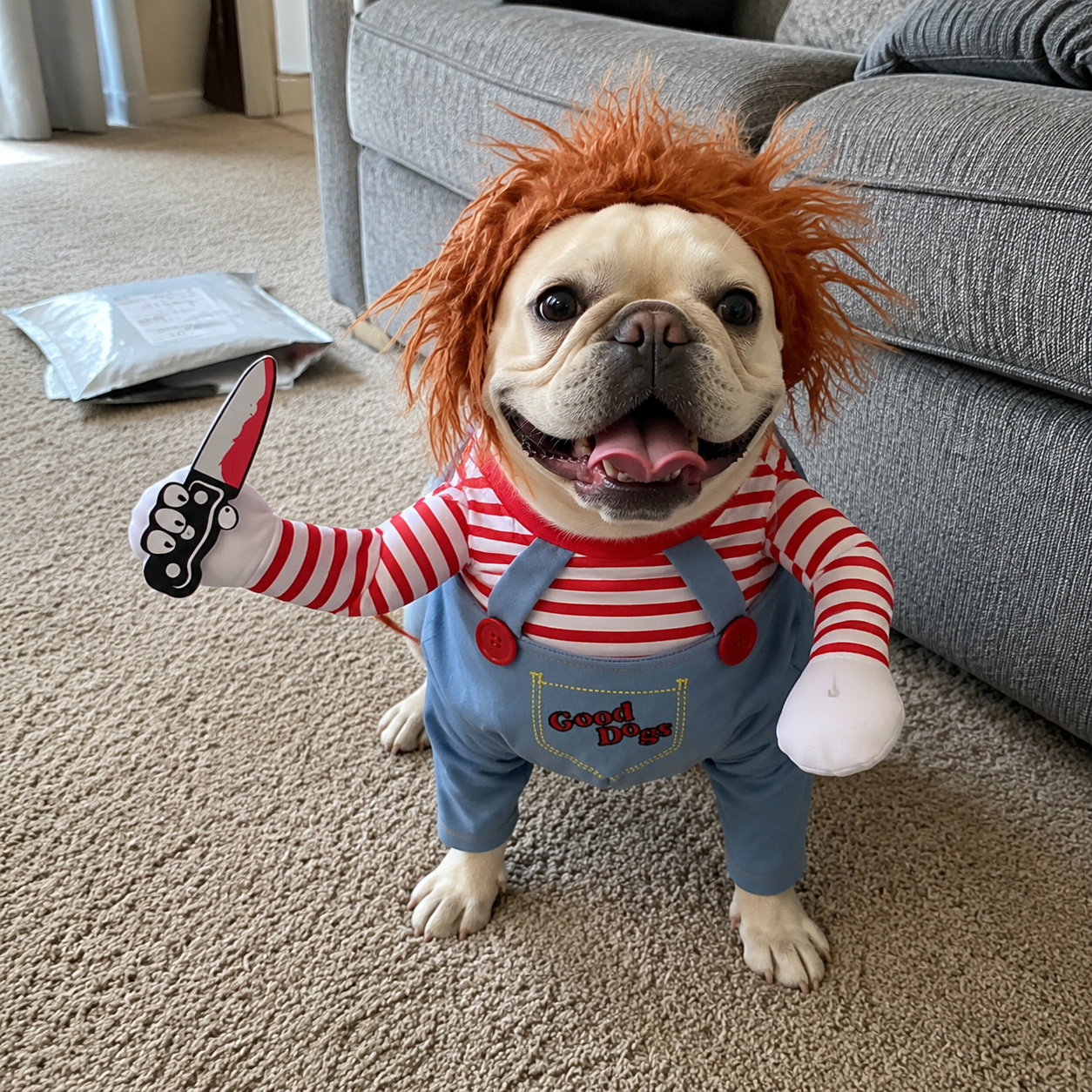 Dog Costume – Funny Halloween Pet Outfit with Wig & Knife for Small, Medium & Large Dogs