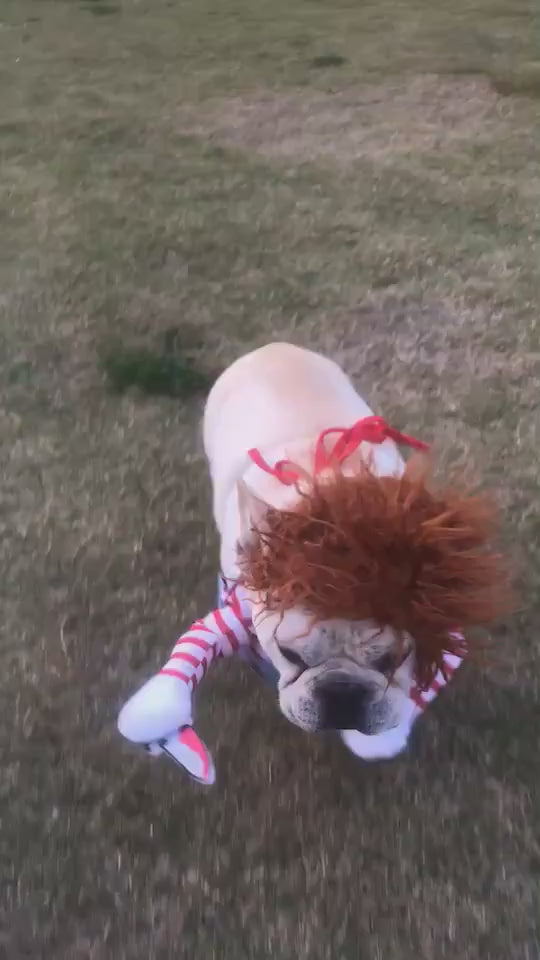 Dog Costume – Funny Halloween Pet Outfit with Wig & Knife for Small, Medium & Large Dogs