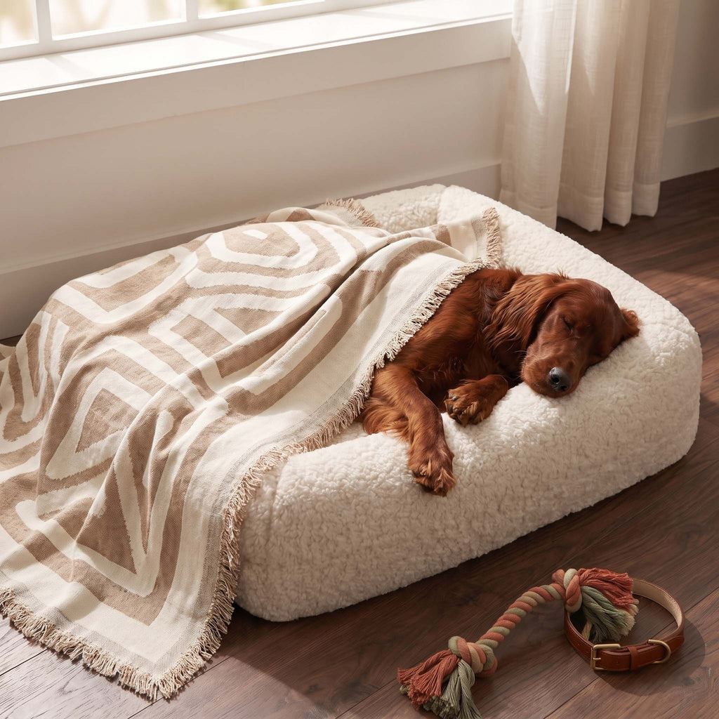 Boho Geometric Couch Cover for Pets – Woven Sofa Throw with Fringed Edge - image 5