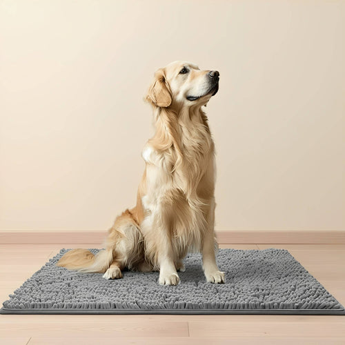 Absorbent Dog Door Mat – Non-Slip Chenille Paw Mat for Wet & Muddy Paws - image 1