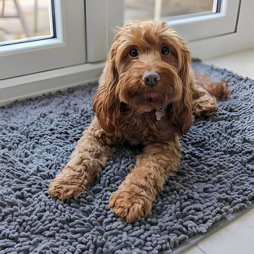 Absorbent Dog Door Mat – Non-Slip Chenille Paw Mat for Wet & Muddy Paws - image 2