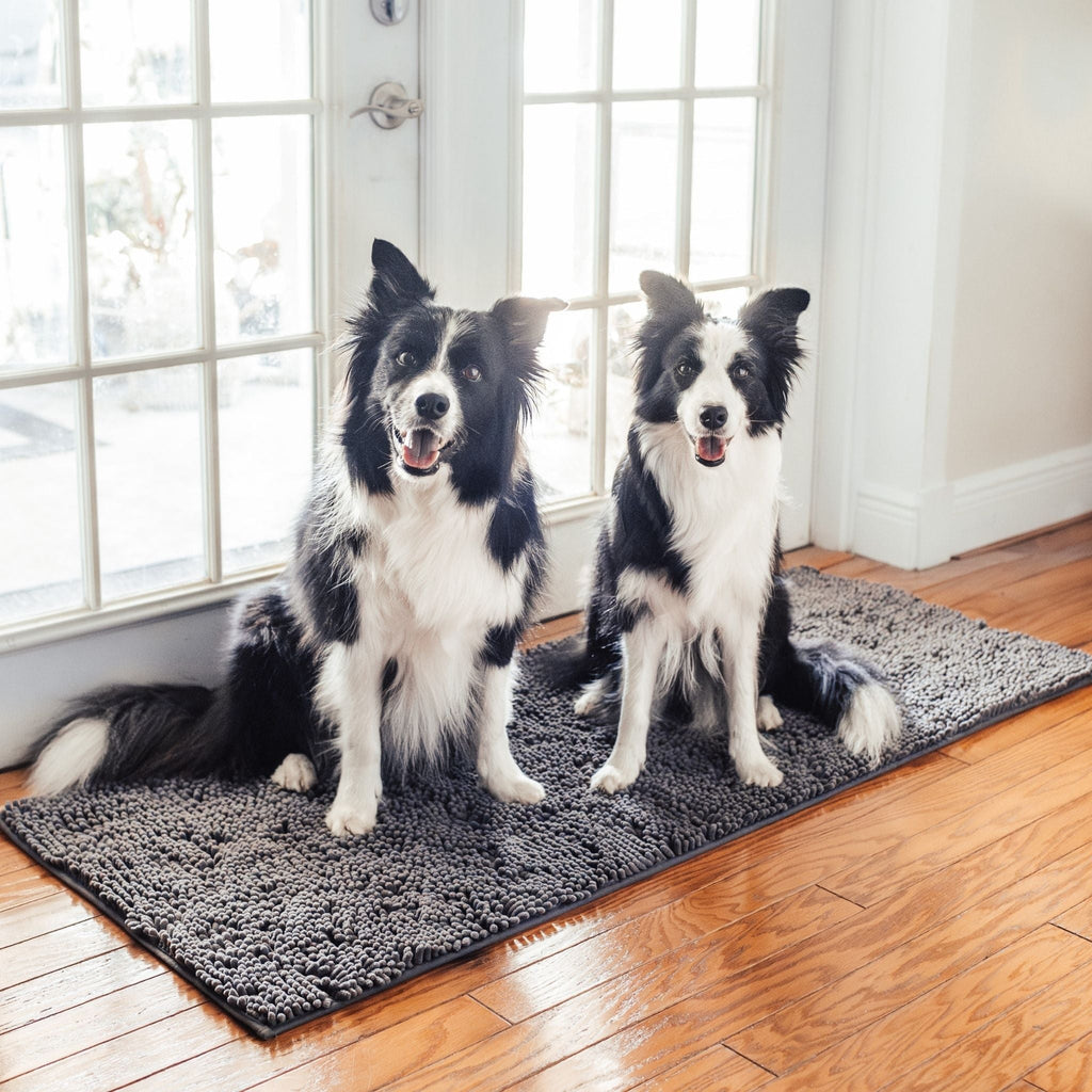 Absorbent Dog Door Mat – Non-Slip Chenille Paw Mat for Wet & Muddy Paws - image 7