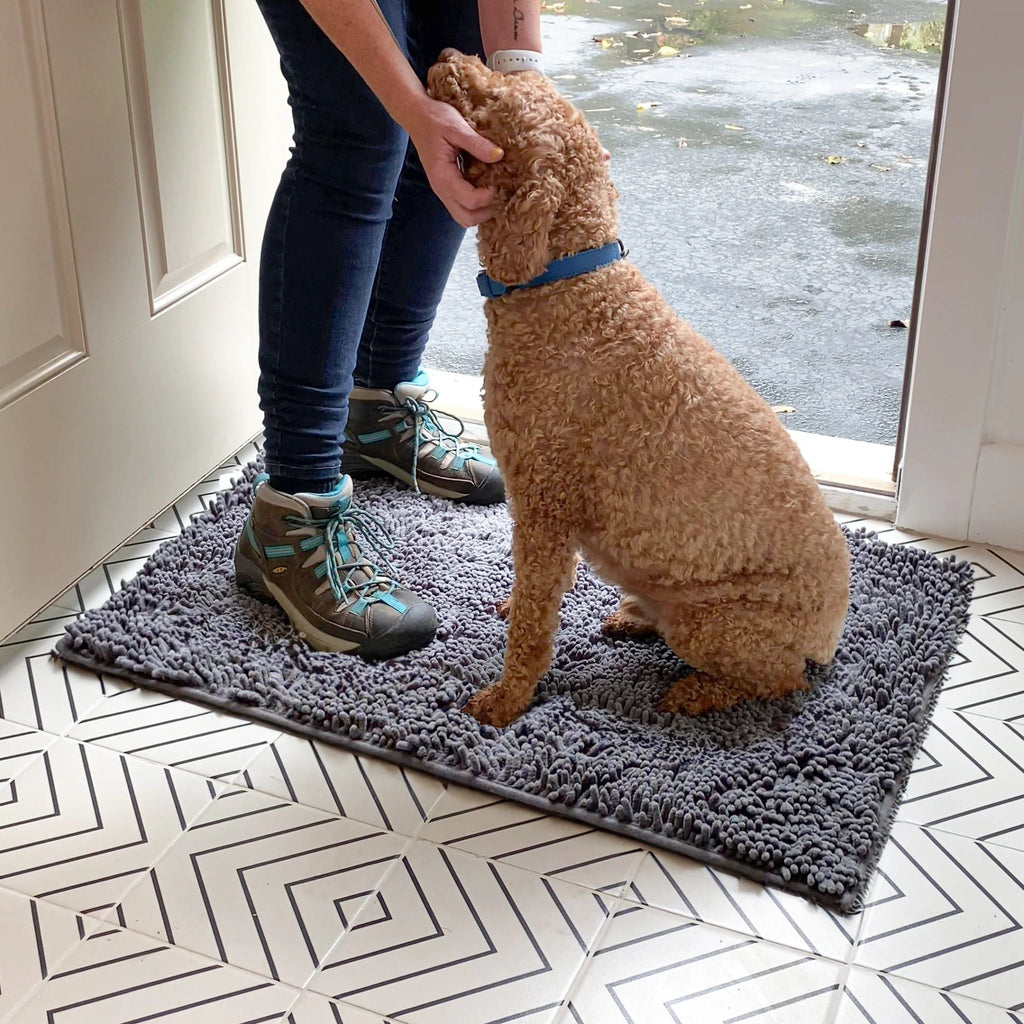 Absorbent Dog Door Mat – Non-Slip Chenille Paw Mat for Wet & Muddy Paws - image 8