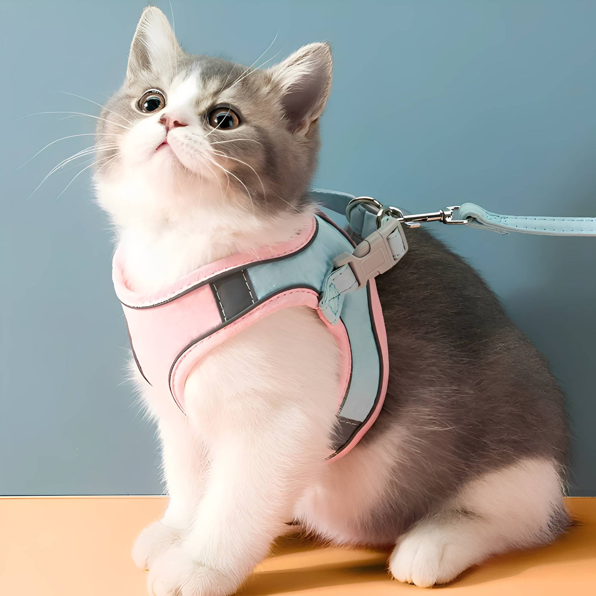 Escape-Proof Cat Harness & Leash Set – Adjustable Padded Walking Vest - image 1