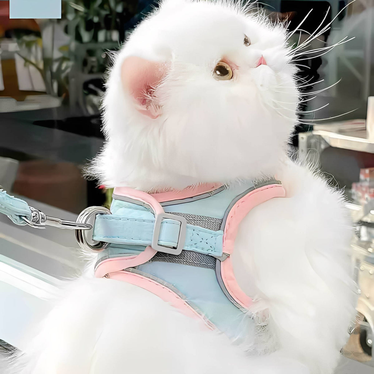 Escape-Proof Cat Harness & Leash Set – Adjustable Padded Walking Vest - image 2