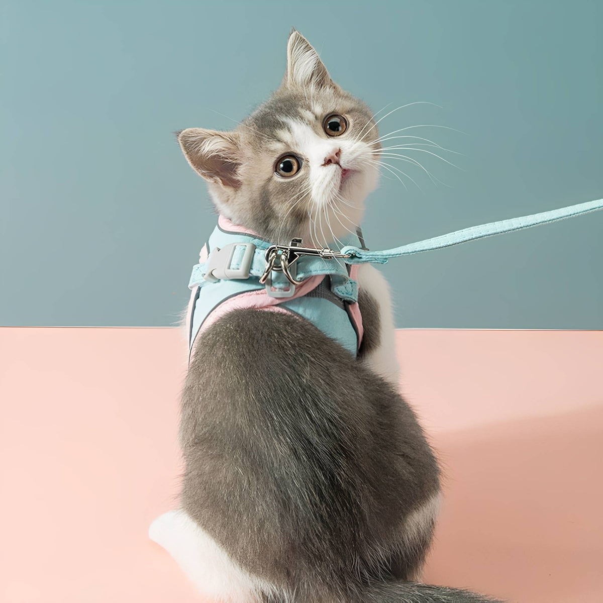 Escape-Proof Cat Harness & Leash Set – Adjustable Padded Walking Vest - image 4