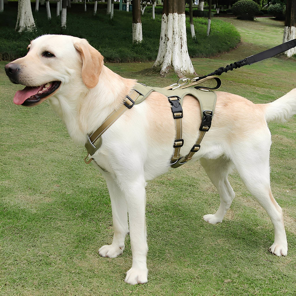 Escape-Proof Dog Harness – Adjustable No-Pull Vest with Reflective Trim - image 1
