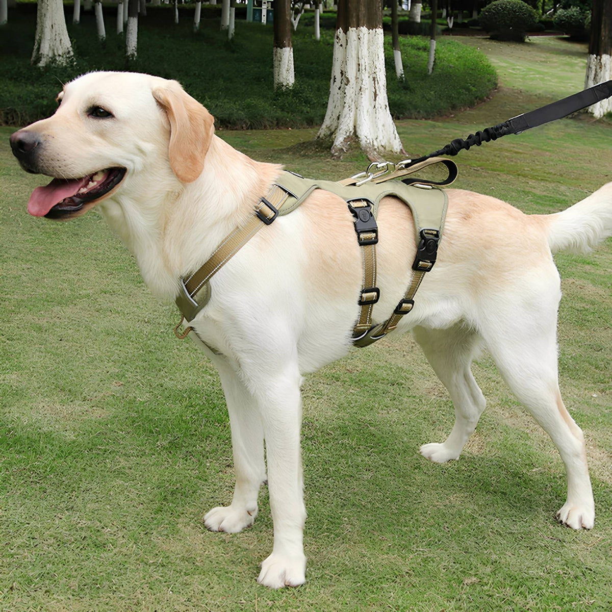 Escape-Proof Dog Harness – Adjustable No-Pull Vest with Reflective Trim - image 1