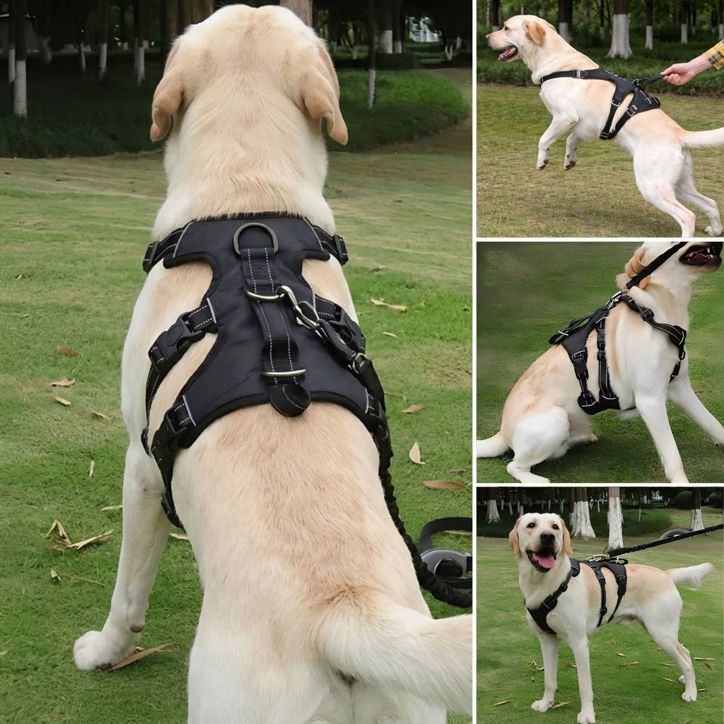 Escape-Proof Dog Harness – Adjustable No-Pull Vest with Reflective Trim - image 4