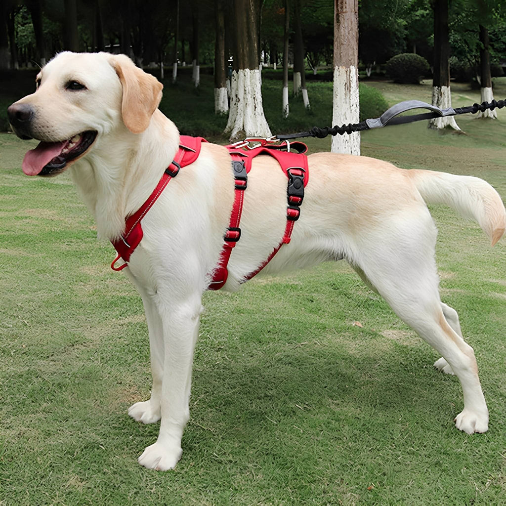 Escape-Proof Dog Harness – Adjustable No-Pull Vest with Reflective Trim - image 6