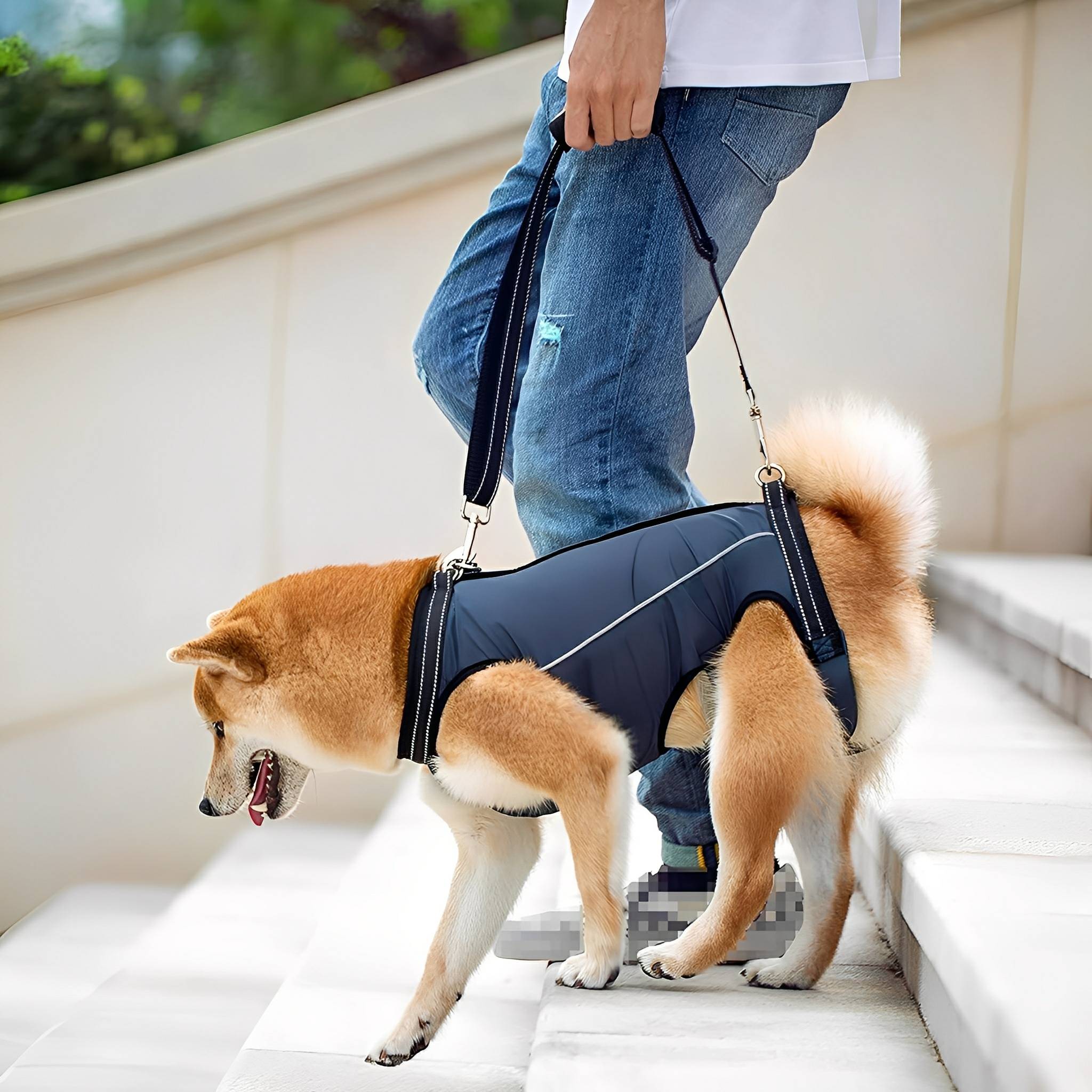 Dog Lift Harness – Padded Rear Support Sling for Senior & Recovering Dogs - image 1