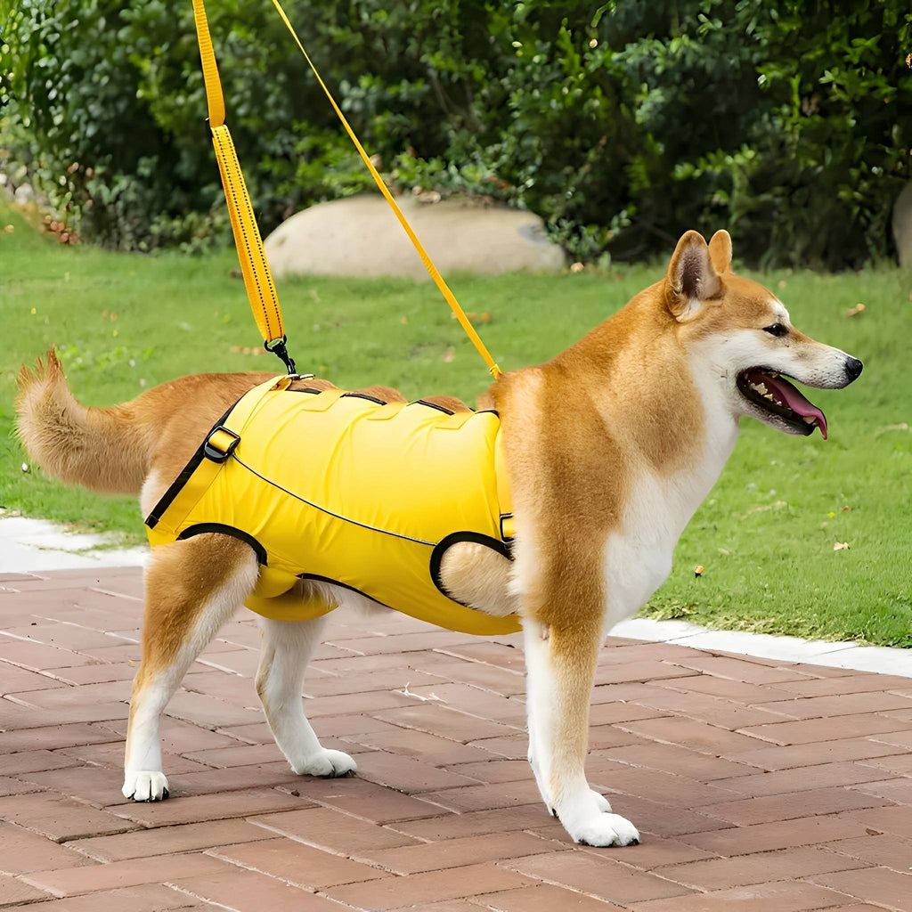Dog Lift Harness – Padded Rear Support Sling for Senior & Recovering Dogs - image 3