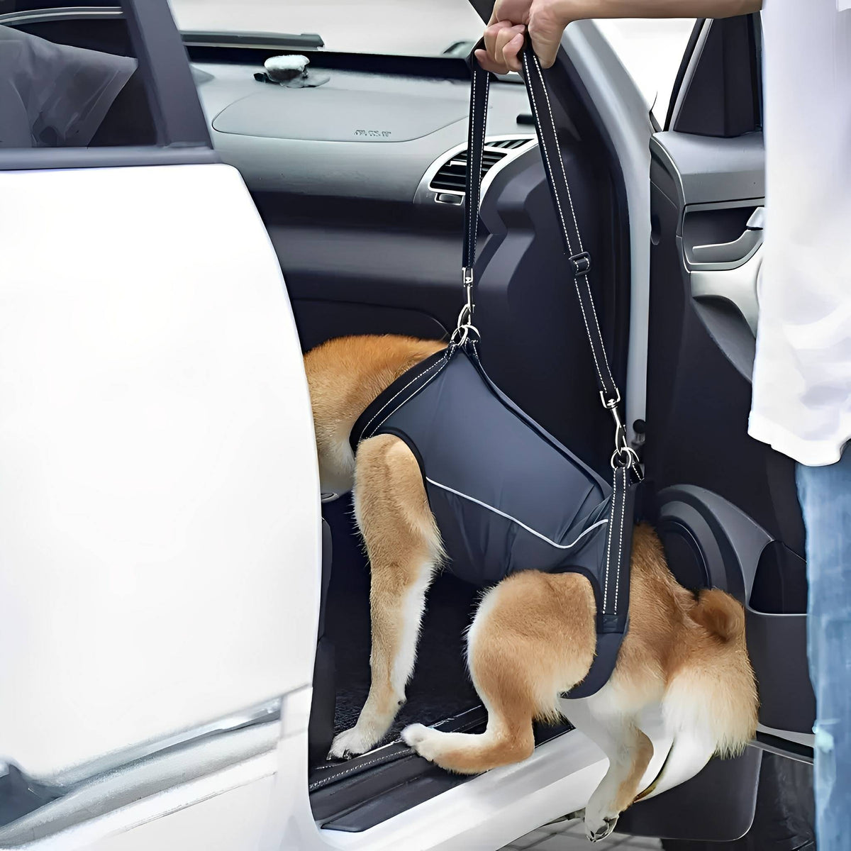 Dog Lift Harness – Padded Rear Support Sling for Senior & Recovering Dogs - image 4