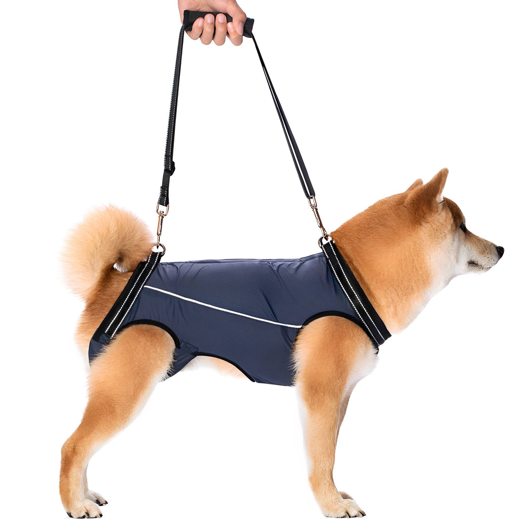Dog Lift Harness – Padded Rear Support Sling for Senior & Recovering Dogs - image 7