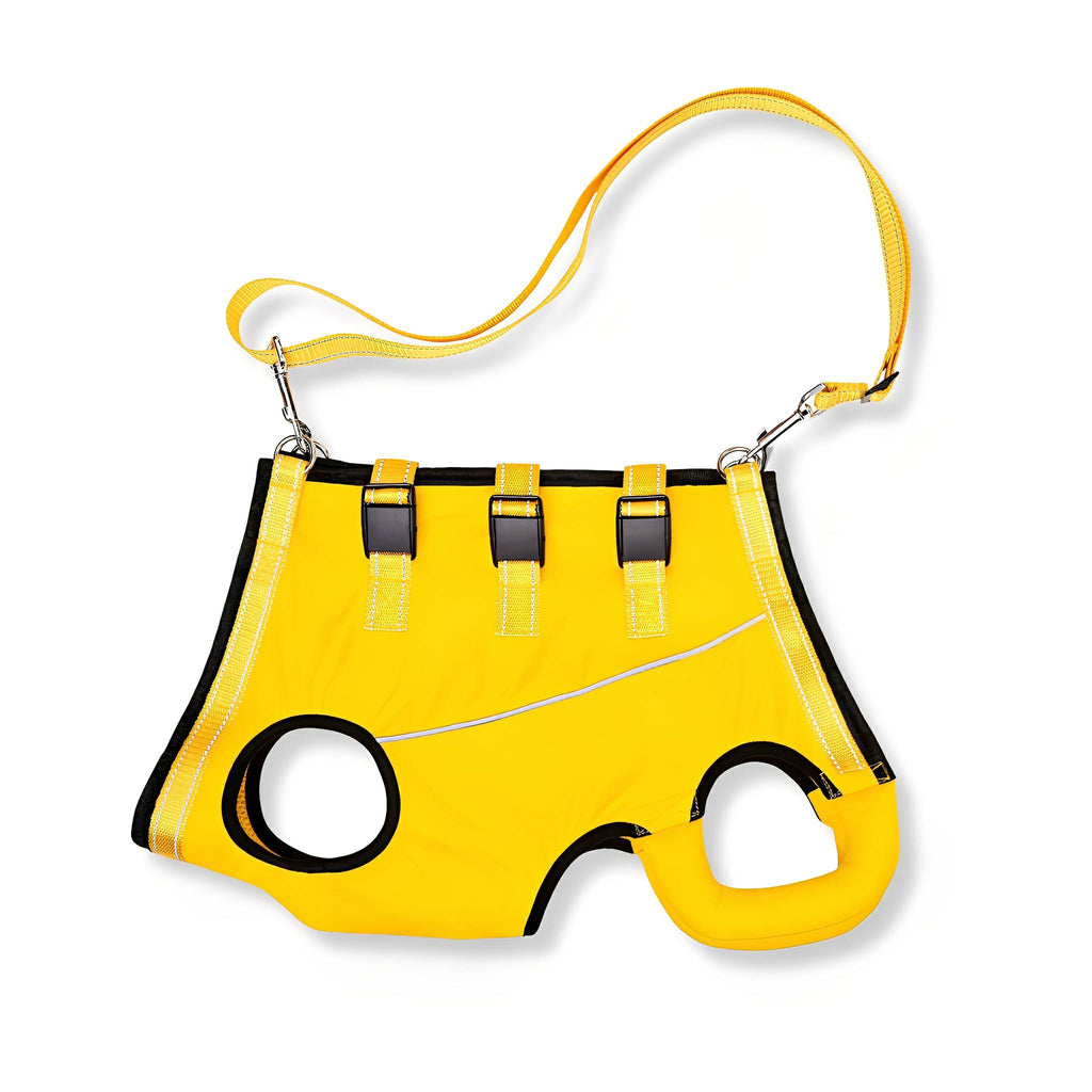 Dog Lift Harness – Padded Rear Support Sling for Senior & Recovering Dogs - image 9