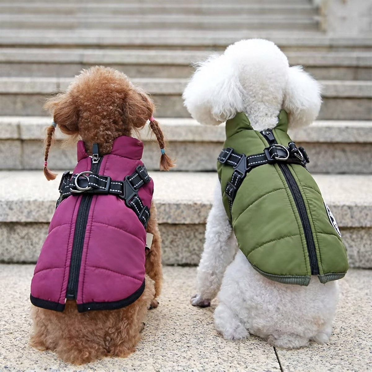 Waterproof Dog Winter Coat – Padded Jacket with Built-In Harness, XS to 5XL - image 3